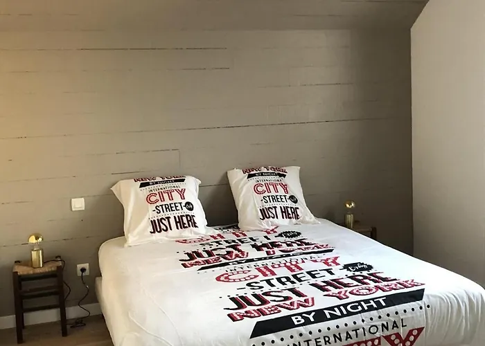 Spacieuse Avec Jardin Centre Villa