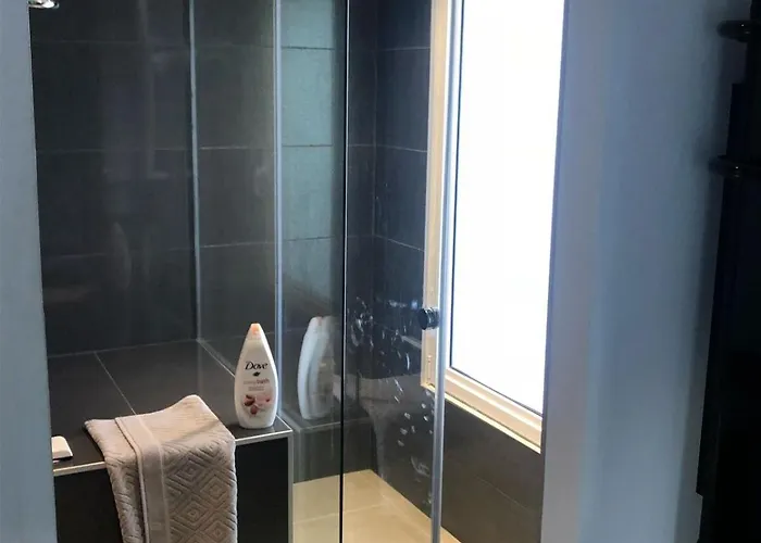 Spacieuse Avec Jardin Centre Villa *